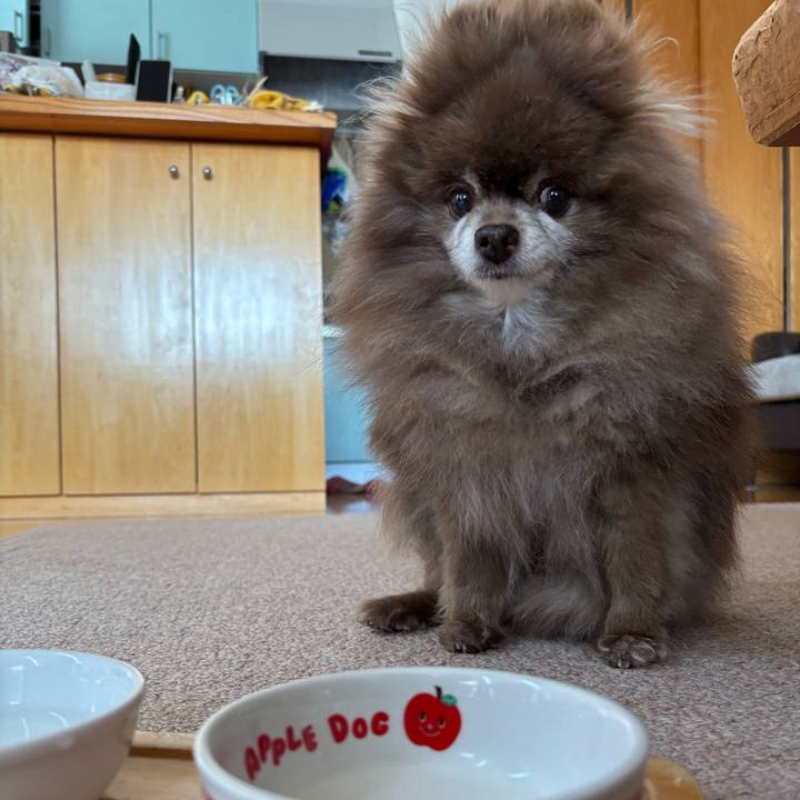 11d1530a bbcf 4765 a6f4 dc37fb8cbe42 1746490285064