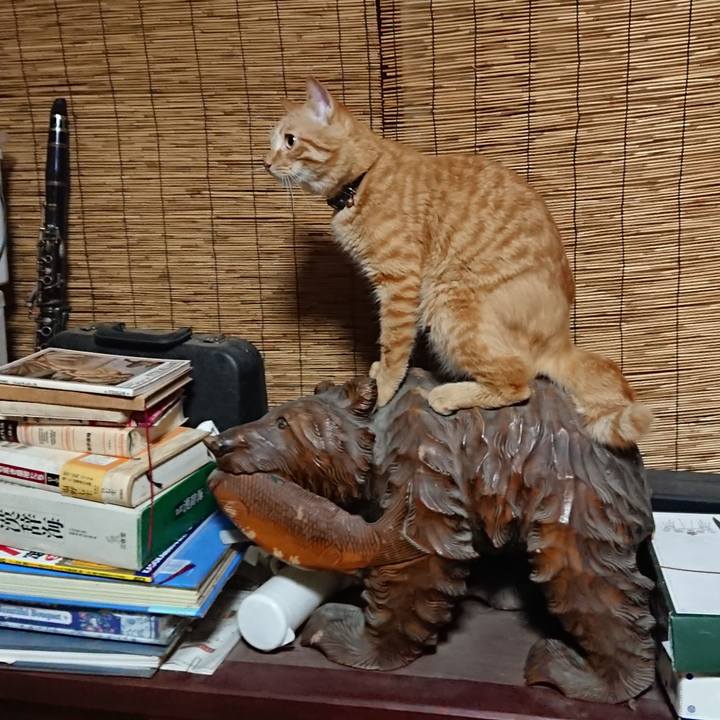 11d1580e da2b 4bff 886a a118dc23c2b4 1660389554672