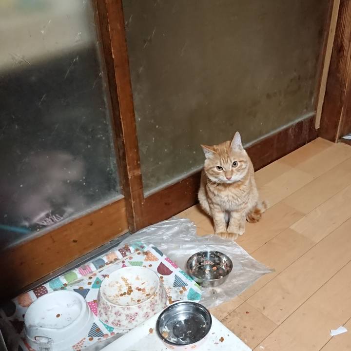 11d18e34 f48e 45ee bbec c516ba2c0407 1637699551622