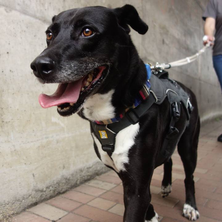 11d1925f 4f88 4554 a063 2a6f4f155967 1654994789018