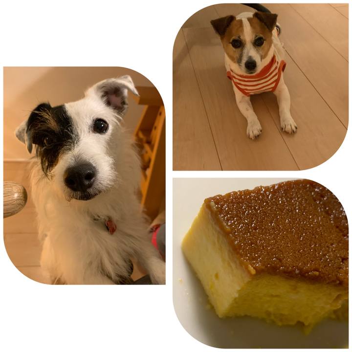 11d1d99b 9f53 431b b194 442850aa91cf 1594726484055