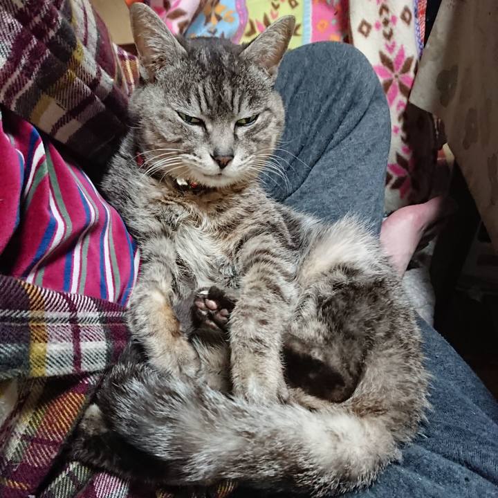 11d1dadc 0a97 4efe 9173 221f23bfed49 1585388130035