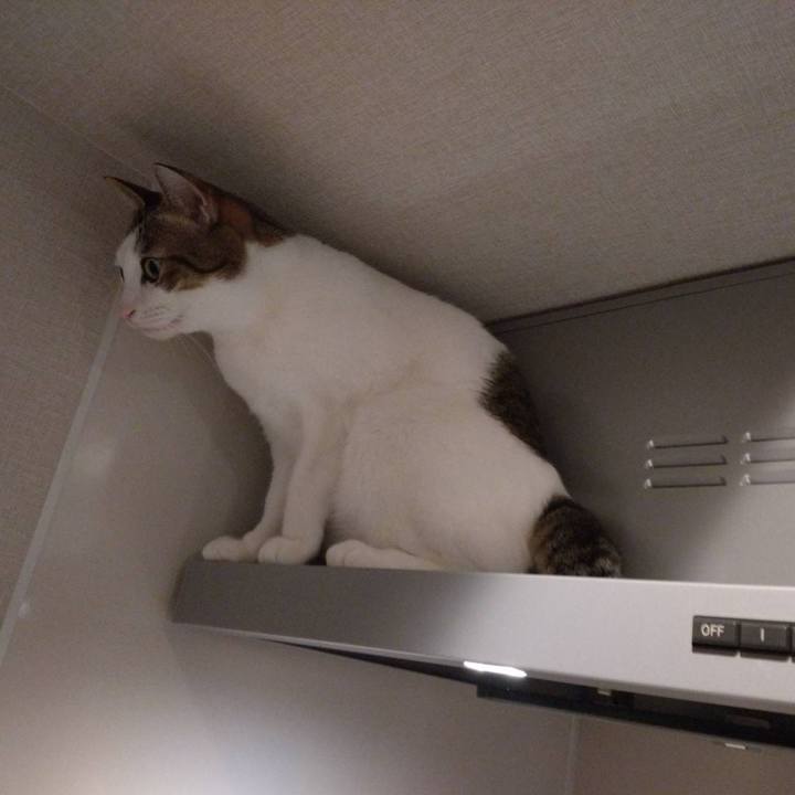 11d1e75c c328 41f4 b91e 558b3fc54f13 1762259585701