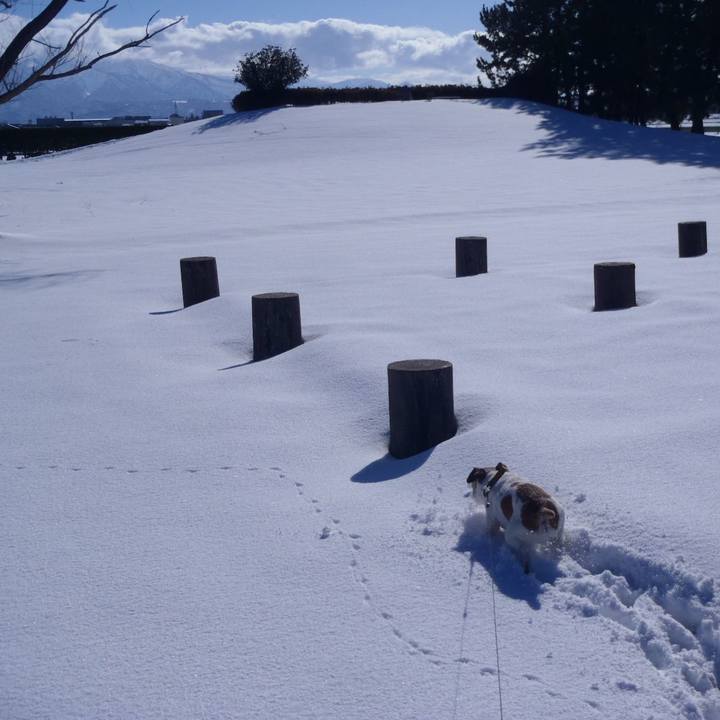 11d23df9 0a83 4962 bbf3 884f3639f6ff 1516105807289