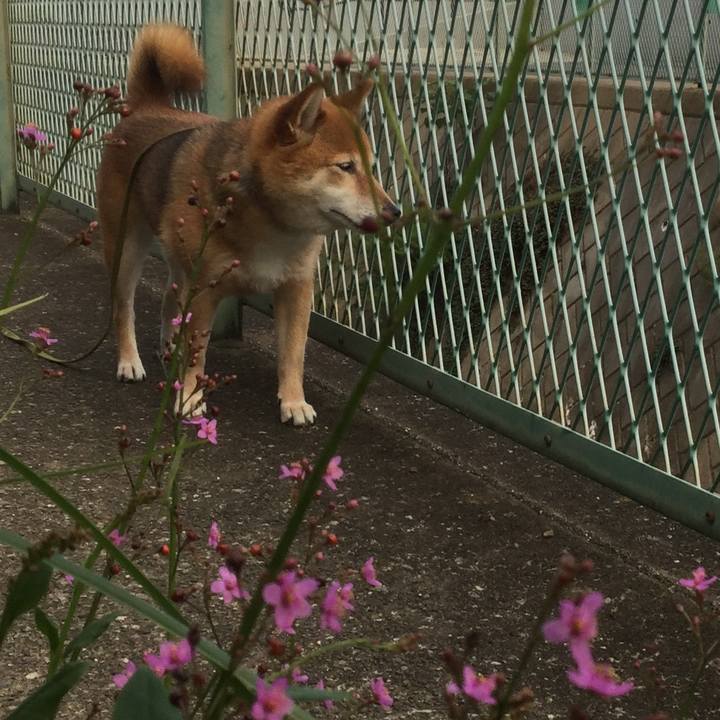 11d242ba 5cec 40bd 825d a70e6471b8d7 1561107688788