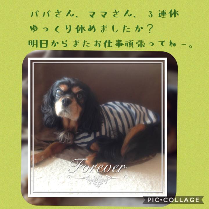 11d24573 1893 40ca 97cb 0ca01d68d8e5 1537788191049