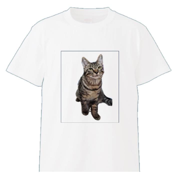 11d25ae2 9bed 49a8 86ad 00b513a7ecb5 1587452915419