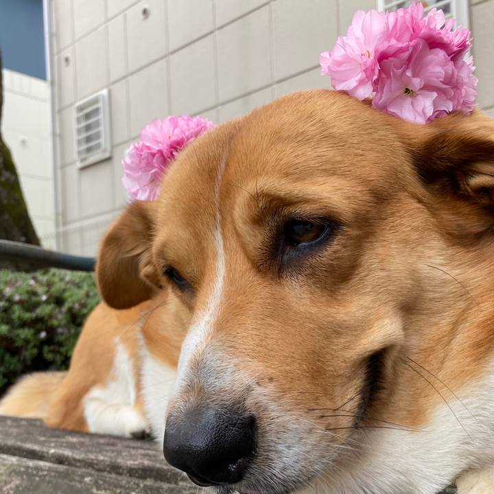 11d2ce0d c0ec 431b 9bee 6e43d770fbc7 1680919303776