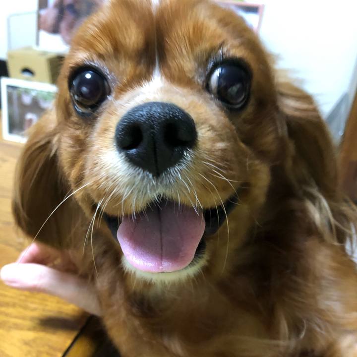 11d2d3e9 7099 4aef 9879 11c2ffd478ba 1570346847506