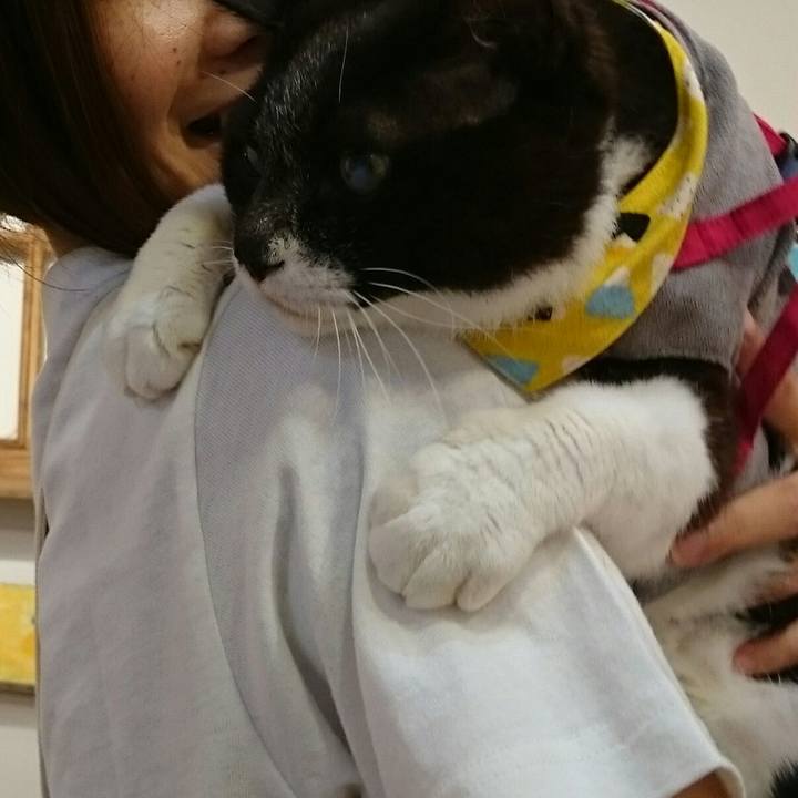 11d2dce2 77f7 4cee b94c e5aba09be413 1524999525506