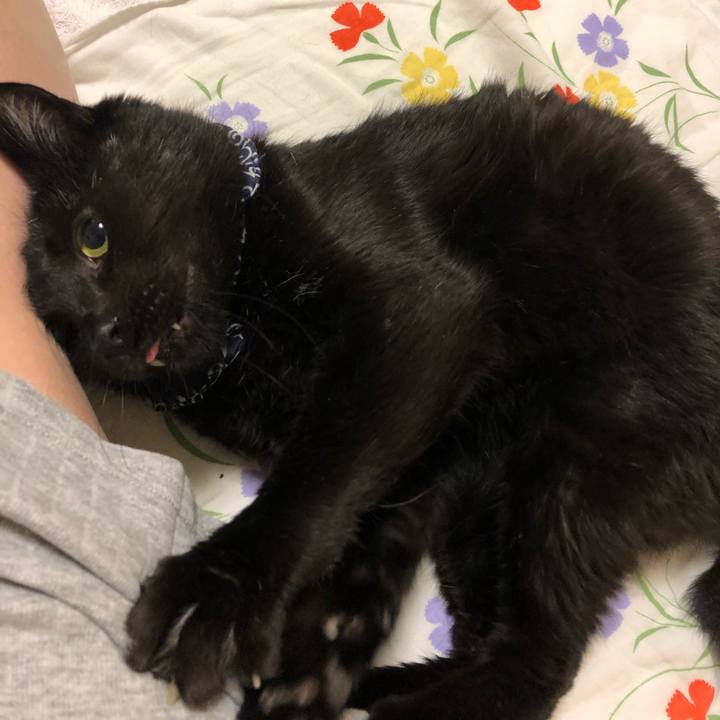 11d305e6 8d31 4df6 850a 01b1ea69457b 1576241961611