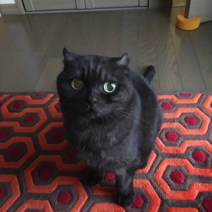 11d32da4 3f77 4084 9492 a2ff9483543f 1540341110847