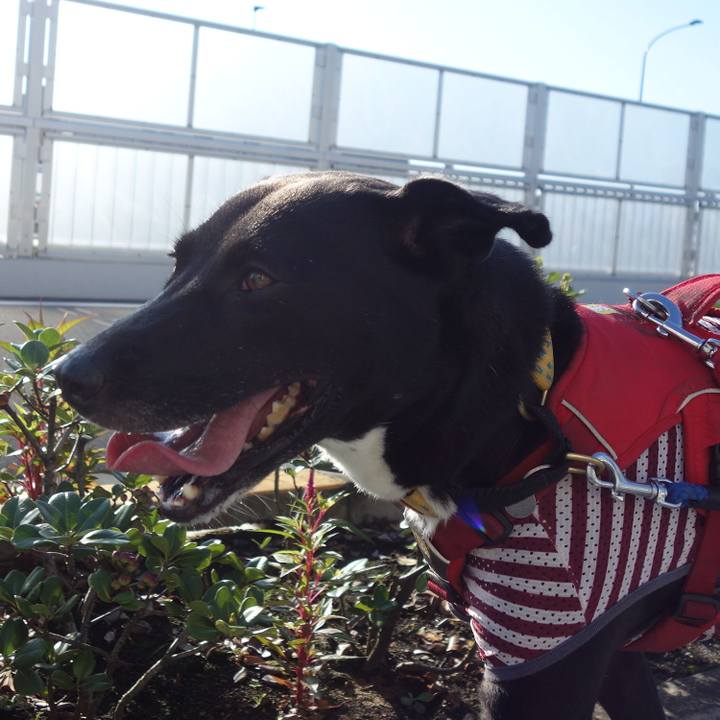 11d36516 6350 4339 80da cc610c526d11 1599263386380