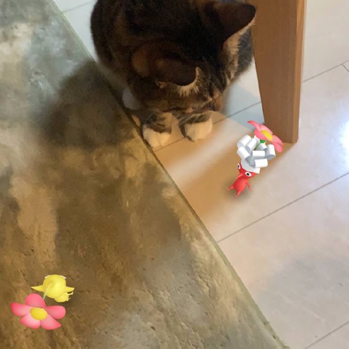 11d37039 b366 43b9 a99f 6e6e5ae23859 1637025689004