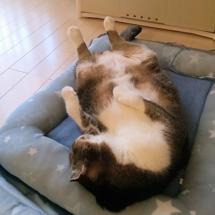 11d38b4a 2300 409d b236 90209f2e9851 1759022200060