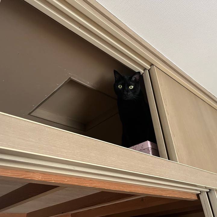 11d3fb98 aeaf 49a4 96f5 f5b3e9d430c8 1724459213706