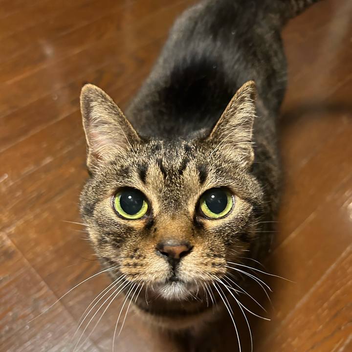 11d49854 0f18 4975 94ce c1eb1db42a7c 1685055594314