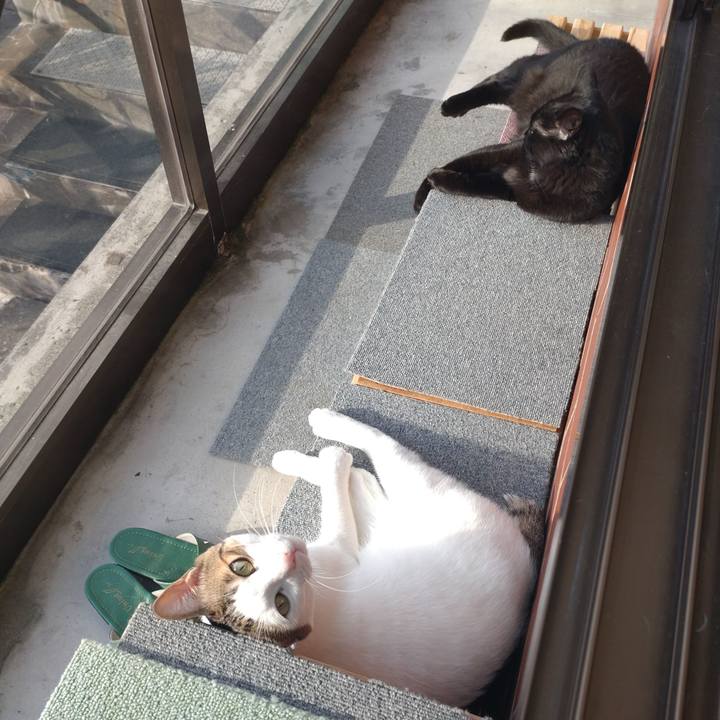 11d4af11 b67f 4562 8d01 a136f17eb3cc 1682927168519