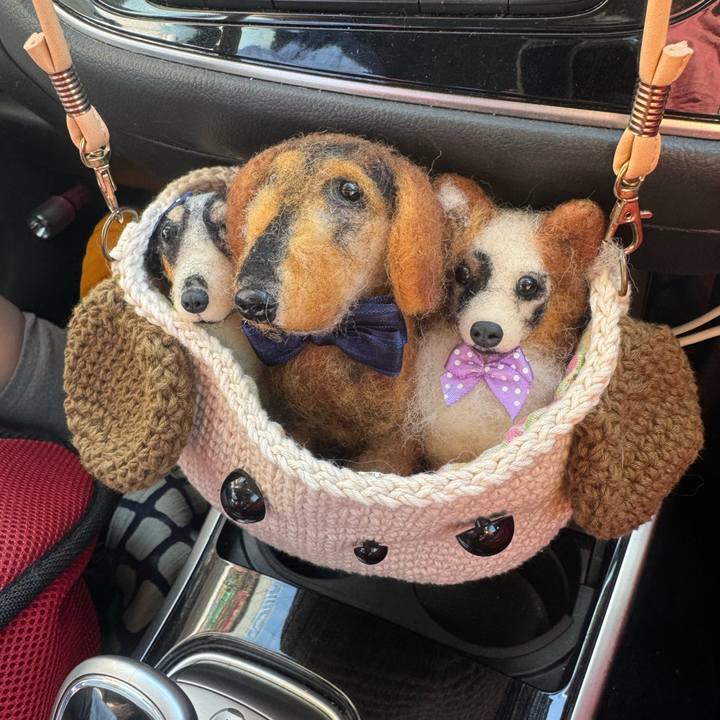 11d4cb61 52ba 44a8 9c66 84b078a5b9ba 1763253254218