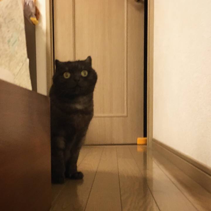 11d4cf44 7162 4247 97af b371ed30fa92 1588953201873