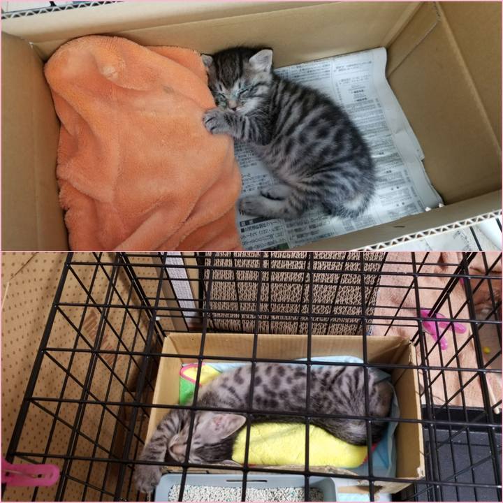 11d4d2a2 71d3 48b0 bbdd dbefd6de2fd8 1662715034358