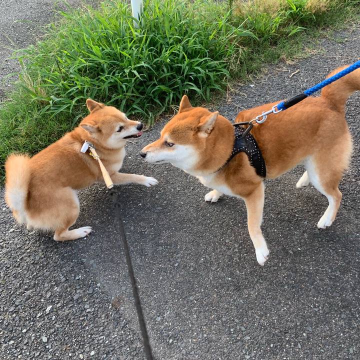 11d4d373 2f78 4d39 800e 2cb097b47fa1 1564359802516