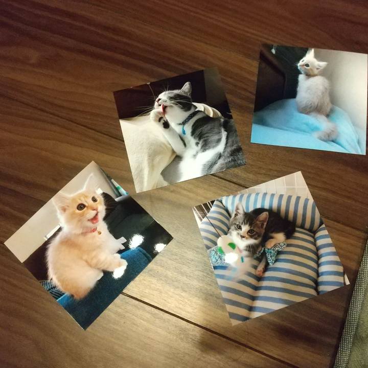 11d4ef78 7bc8 429e 9bfc 1310b6253571 1612096251927