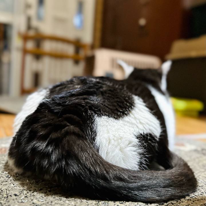 11d500fa 9714 4bc4 b3db 5f2070348d09 1678670044680