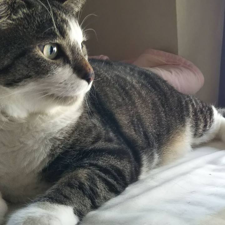 11d501a8 9423 4782 b5cd 59be4524ad72 1627656135604