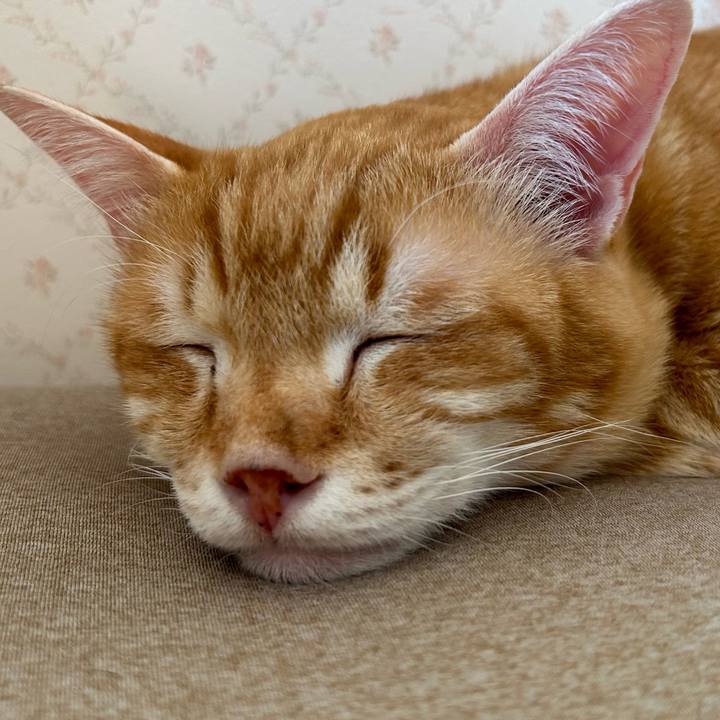 11d5294d 2799 498e 8acc 11b0b6df2aca 1676161192895