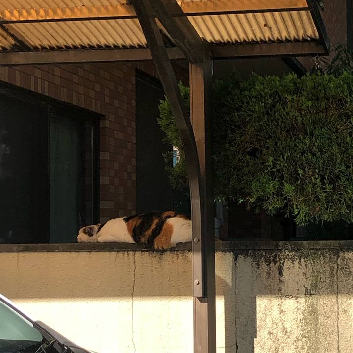 11d5963b 6840 4742 ab79 8935f72d1542 1601365090068