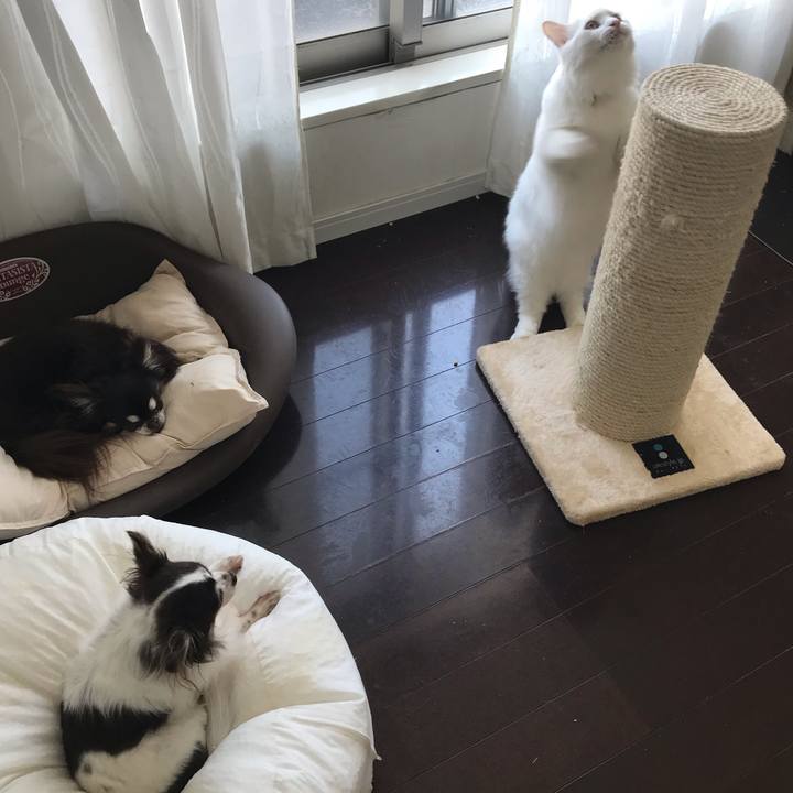 11d62398 fbc9 4c38 928a 90f3c3720345 1541923529066