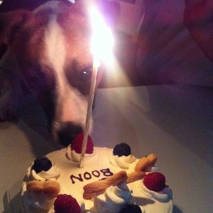 11d629c4 debd 46fb b1b6 f48755306e33 1656889057388