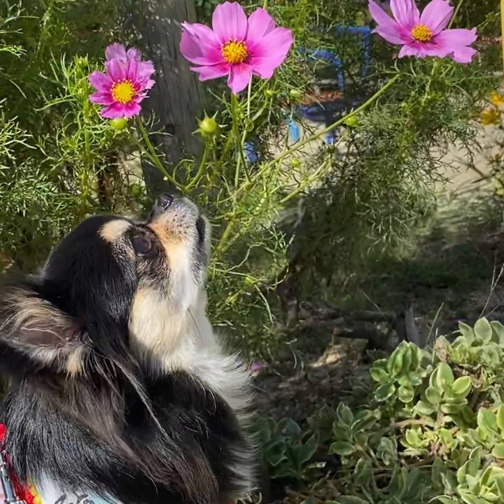 11d630bc f7f1 440b 87da 385c13cacc51 1603159084673