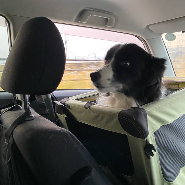 11d67b83 4b00 49a4 95c3 696207df78f1 1639261263002