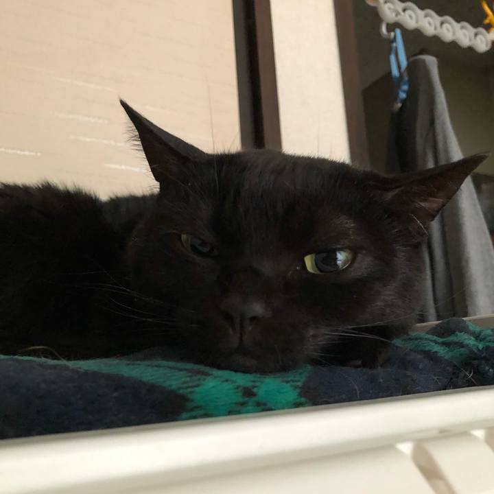 11d688da 255f 43bd bcff 5dc654ebe609 1617748638590