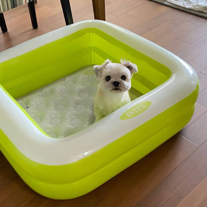 11d6c900 a61f 41d3 a85f 54a2e4a9e1ae 1658644665578