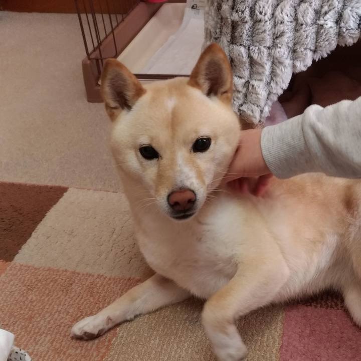 11d6cc8a 2f2f 4a1c 9afc 0f7db9173d34 1579405155582