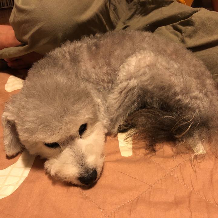 11d6dd69 05f9 4c3c a97d d1447ebaee8a 1570872032293