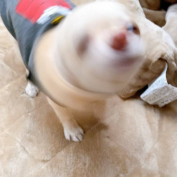 11d73d10 9287 4d4a be28 8e23d7ad7712 1604904356428