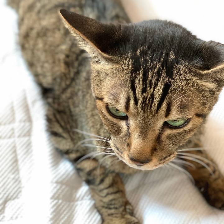 11d74f27 054a 4ff8 a9ab 825c85a5ead9 1590196597705