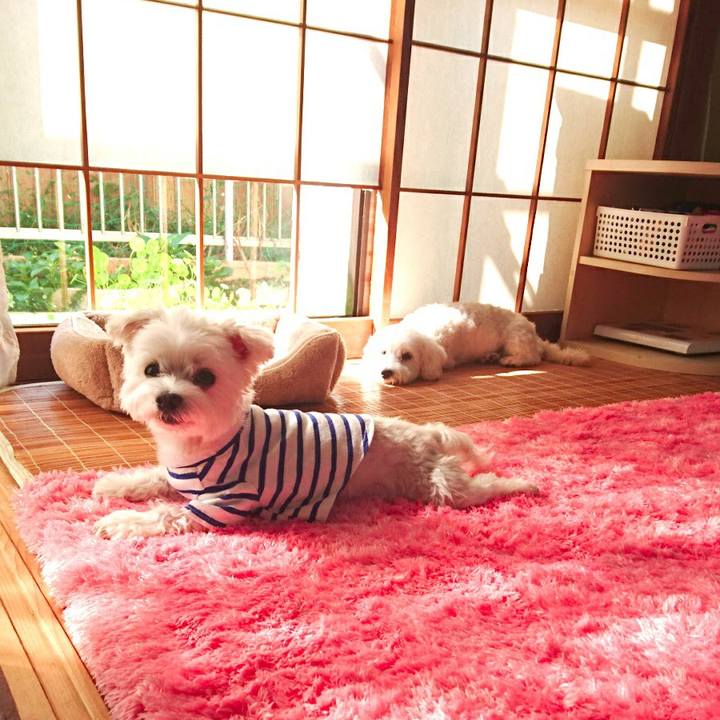 11d75120 ea90 4074 9cb7 7a101d57c67f 1524461178220