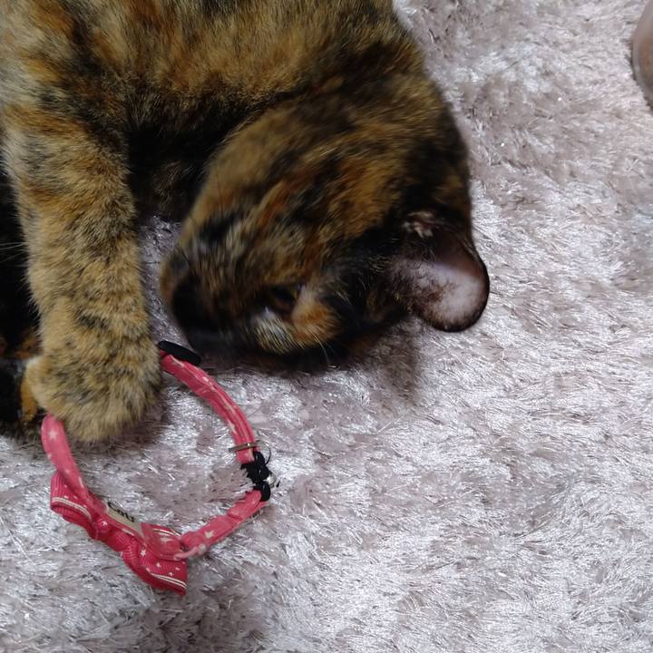 11d75bc0 9fa7 4e27 8bad c2b18c81b4d0 1629891580398