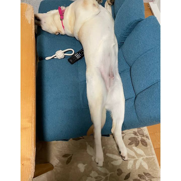 11d790e5 46a0 496d a3a0 2721c3c16133 1634304615972