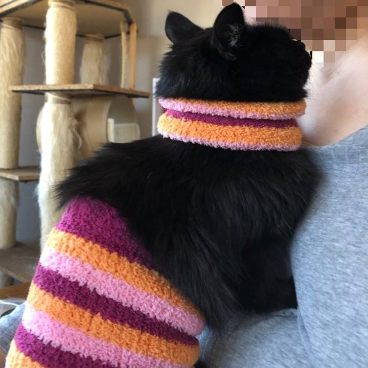 11d79285 787d 44a5 9341 4768d84b98aa 1588654085448