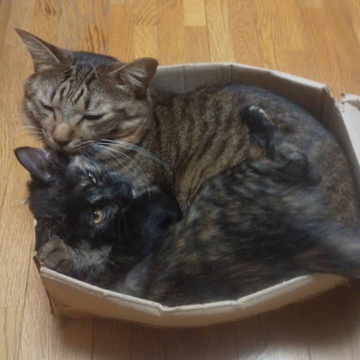 11d7b1a2 90de 4caf a31f e2992a35ae96 1725709463909