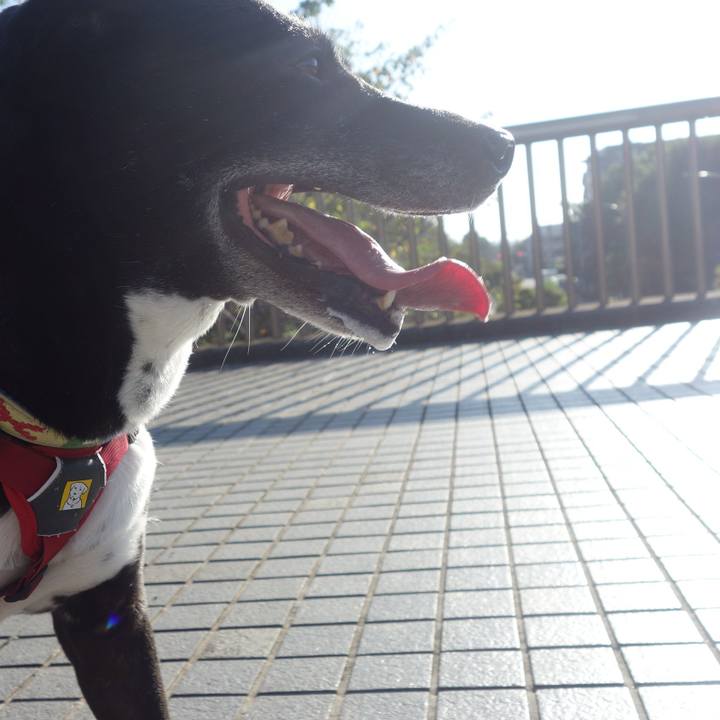 11d7cf86 37cf 4b89 96b8 657480fc6f55 1695080933456