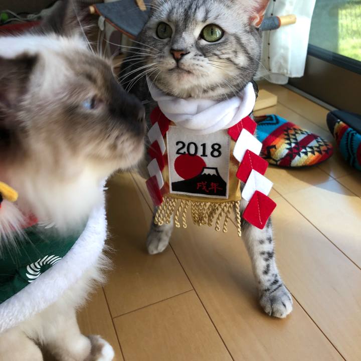 11d7e927 d3e1 4ccc a9ee ee68feaa4af2 1513827898001