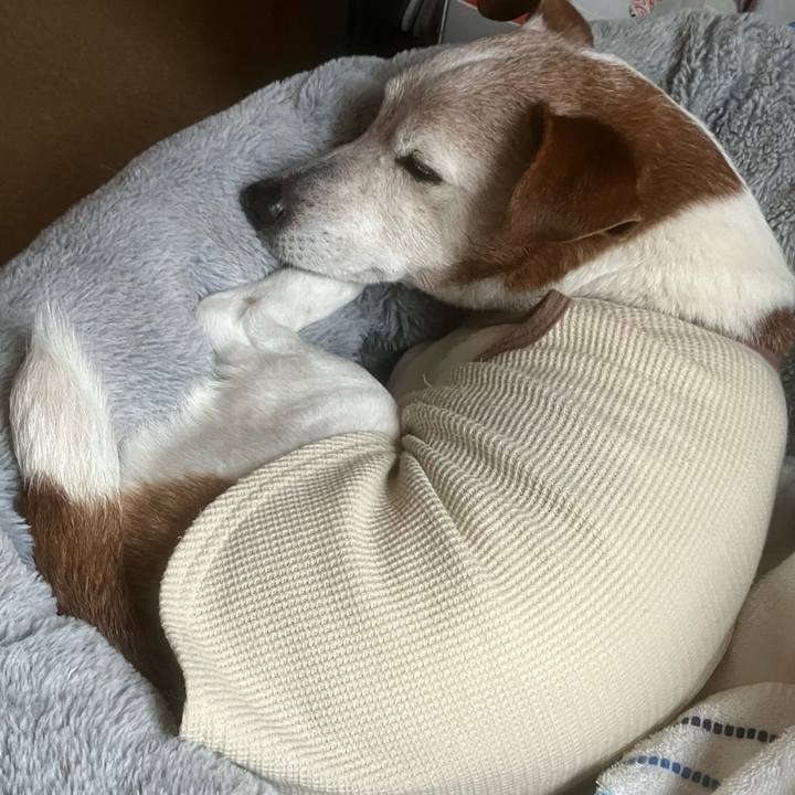 11d7eaf7 41c1 4a89 b495 897fd32ca28b 1772408563459