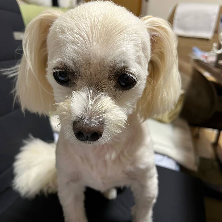 11d81046 ccb8 44a7 a654 4f67bf9dbb00 1694007542221